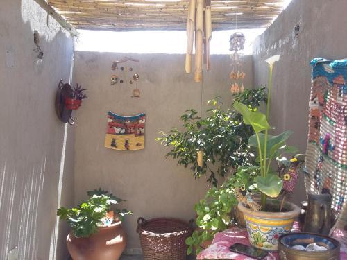 Apartamento Departamentos Angenino Lujan