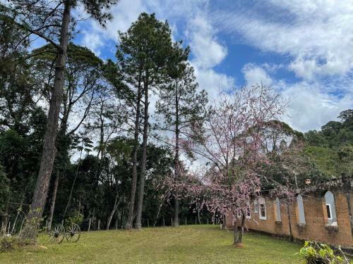 Lodge Chal� Rio Das Pedras