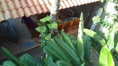Maracuj� Hostel