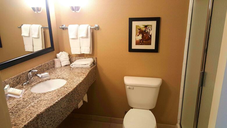 Hotel Hilton Garden Inn Lexington Georgetown