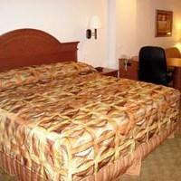 Hotel La Quinta Inn & Suites Belton