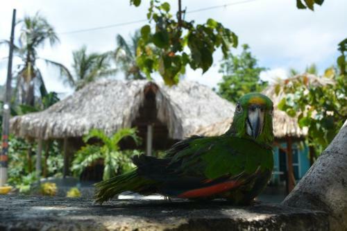 Hostal Recuerdos Del Tayrona