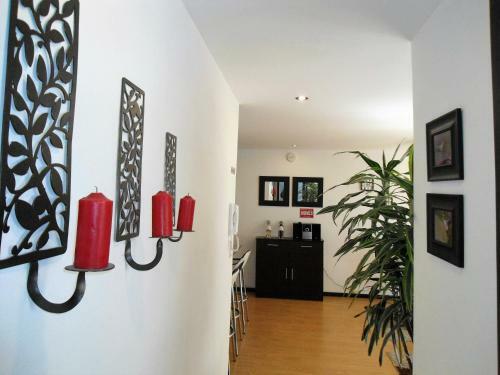 Central Apartments (plaza Foch)