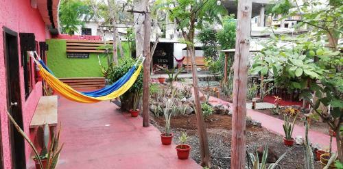 Albergue Hostal Galapagos Morning Glory