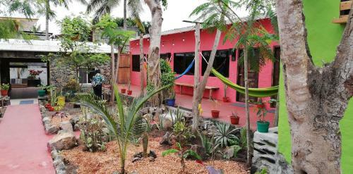 Albergue Hostal Galapagos Morning Glory