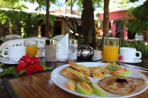 Albergue Hostal Galapagos Morning Glory
