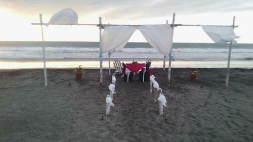 Hotel Boca Beach Resort Club