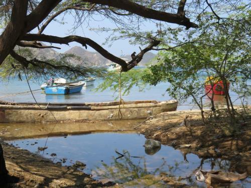 Bed & Breakfast Magic House