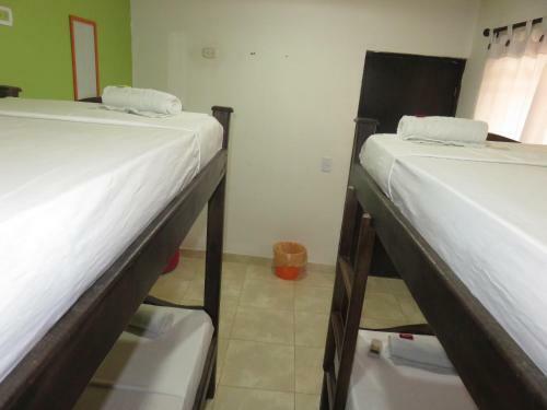 Bed & Breakfast Magic House