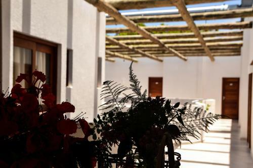 Apartamento Vila Da Pipa Su�tes