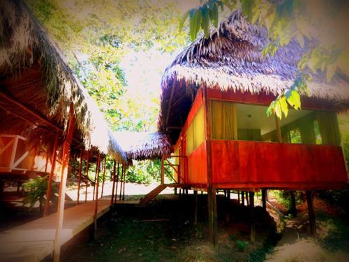 Albergue Amazon Eco Tours & Lodge