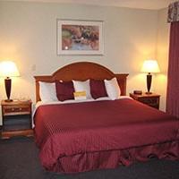 Hotel La Quinta Inn & Suites Willowbrook