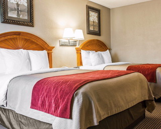 Hotel Comfort Inn Airport