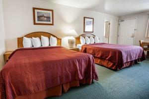 Hotel Quality Inn & Suites