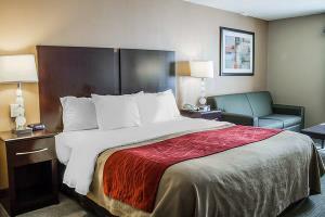 Hotel Comfort Inn & Suites Downtown