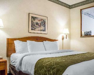 Hotel Comfort Suites At Metro Center