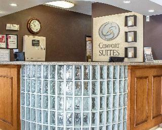 Hotel Comfort Suites At Metro Center