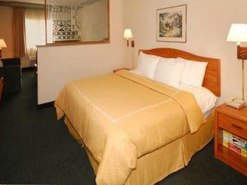Hotel Comfort Suites At Metro Center