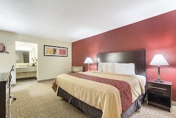 Hotel Quality Inn And Suites Addison