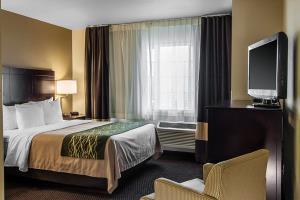 Hotel Comfort Inn & Suites