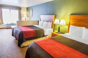 Hotel Comfort Inn & Suites