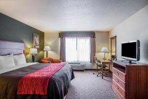 Hotel Comfort Inn & Suites