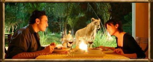 Hotel Mara River Safari Lodge