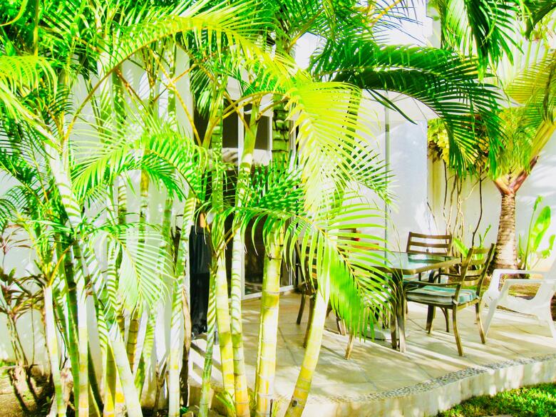 Dolce Vita Caribe B&B