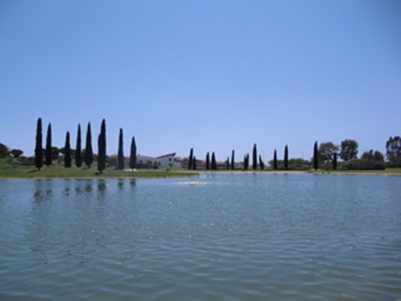 Villa Sun&life Costa Ballena