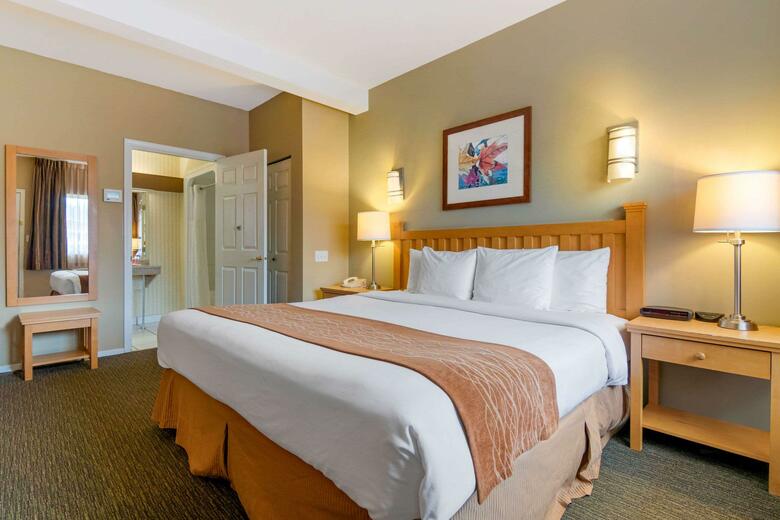 Hotel Comfort Inn & Suites N. Vancouver