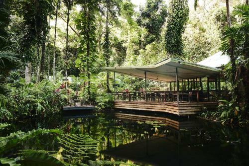 Hotel Daintree Eco Lodge & Spa