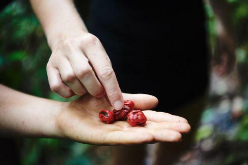 Hotel Daintree Eco Lodge & Spa
