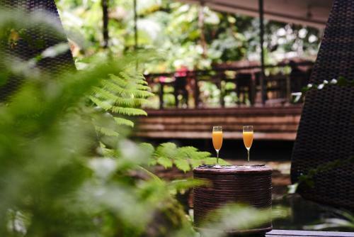 Hotel Daintree Eco Lodge & Spa