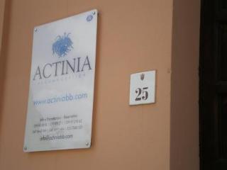 Bed & Breakfast Actinia Accomodation