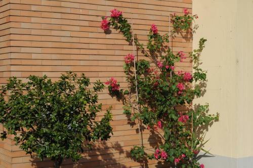 Bed & Breakfast Marinetta