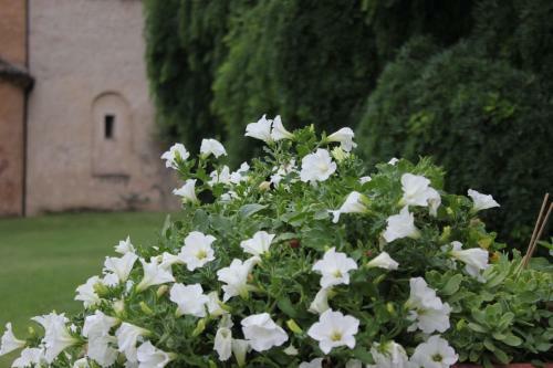 Bed & Breakfast Abbazia San Pietro In Valle