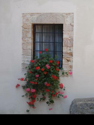 Bed & Breakfast Abbazia San Pietro In Valle