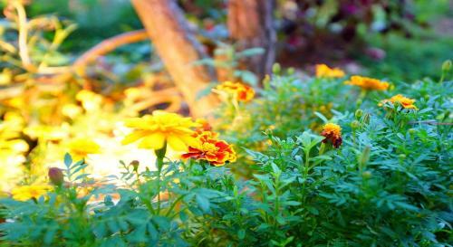 Hostal Beautiful Garden Hanok Guesthouse