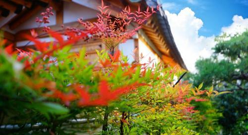 Hostal Beautiful Garden Hanok Guesthouse