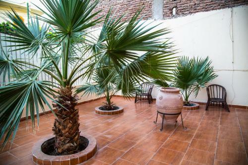 Hostal Senmut Luxor Hotel