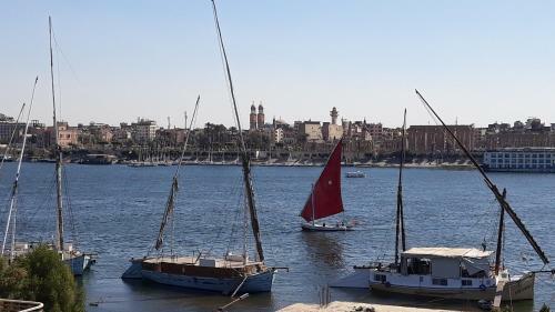 Hostal Senmut Luxor Hotel