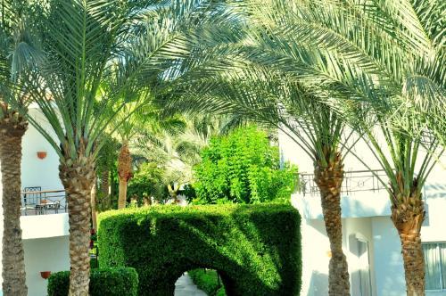 Hotel Jaz Fanara Residence