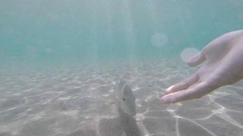 Apartamentos Beach Condos At Mt.pico De Loro Beach