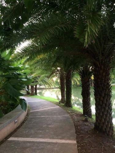 Apartamentos Beach Condos At Mt.pico De Loro Beach