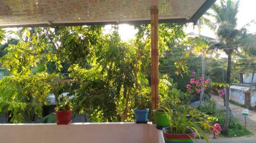 Bed & Breakfast Marari Febins Homestay