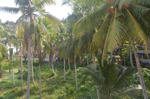 Hotel Kaveri Tourist Home
