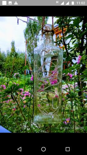 Jimmy's Homestay