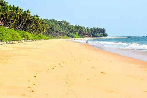 Hotel Club 7 Beach Resort