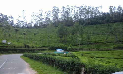 Hostal Vaiga Home Stay