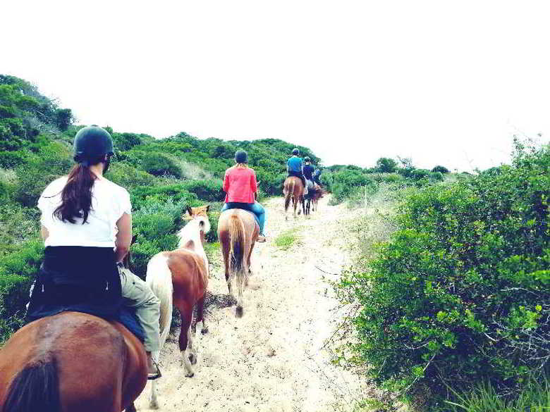 Hotel Oyster Bay Lodge